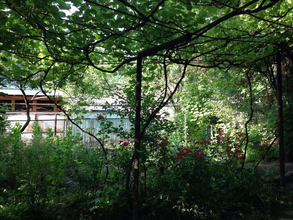 Guest House Besarioni Borjomi Exterior photo